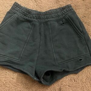Aerie Dark Green Athletic Shorts